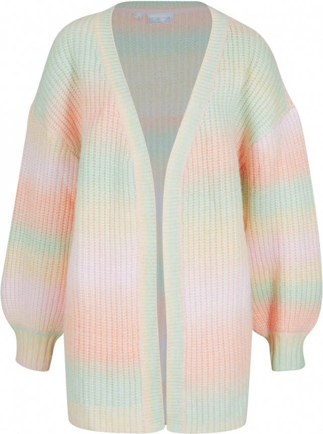 bonprix Lang vest met kleurverloop