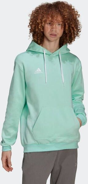 Adidas Entrada 22 Sweat Heren Hoodies