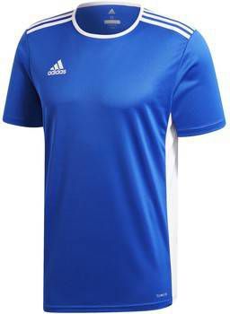 adidas blauw shirt