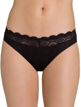 Triumph Amourette 300 Magic Wire Tai