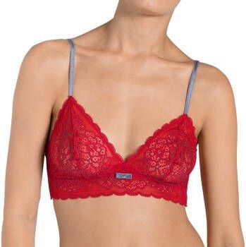 Triumph Amourette Spotlight NO1