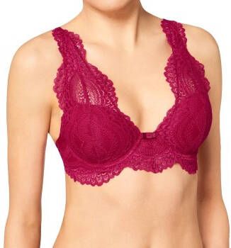 Triumph Seduction Darling Spotlight WHP 01