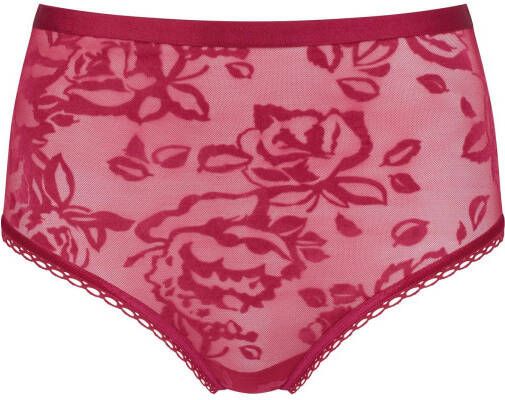 Triumph string Velvet Rose Spotlight rood